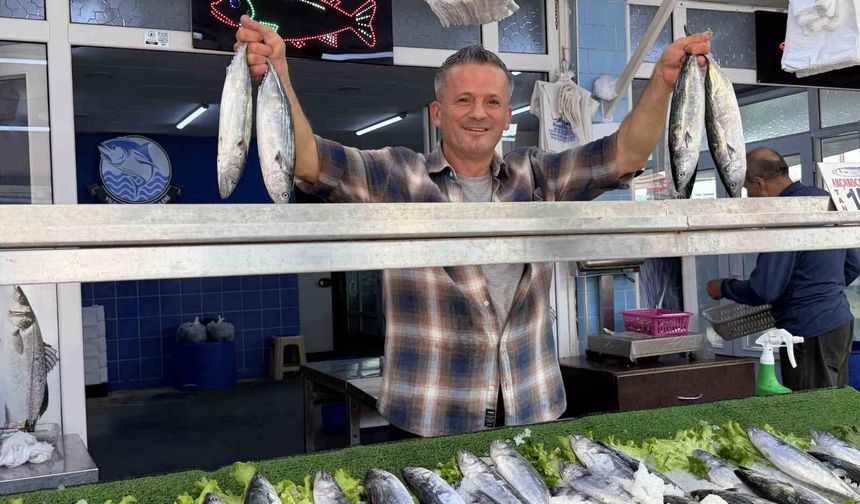 Balıkçıların yüzünü palamut bolluğu güldürdü