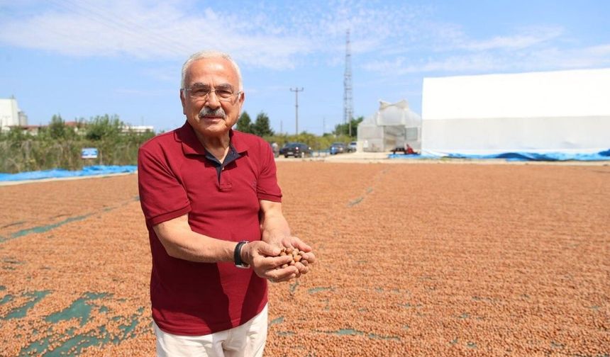 Başkan Güler: 'Fındığa hem bilimsel hem teknik yaklaşıyoruz'
