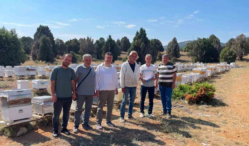 Beyşehir'de arılı kovanlar tek tek sayılıyor