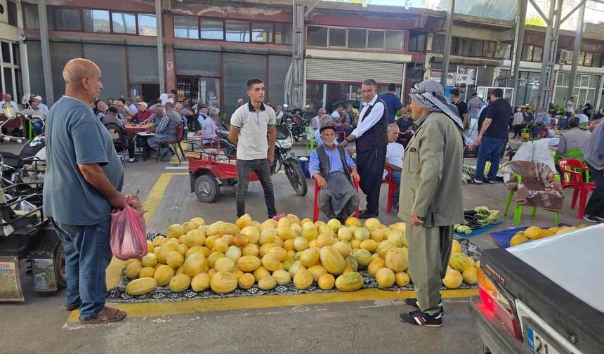 Çermik kavunu pazarda tezgahta yerini aldı