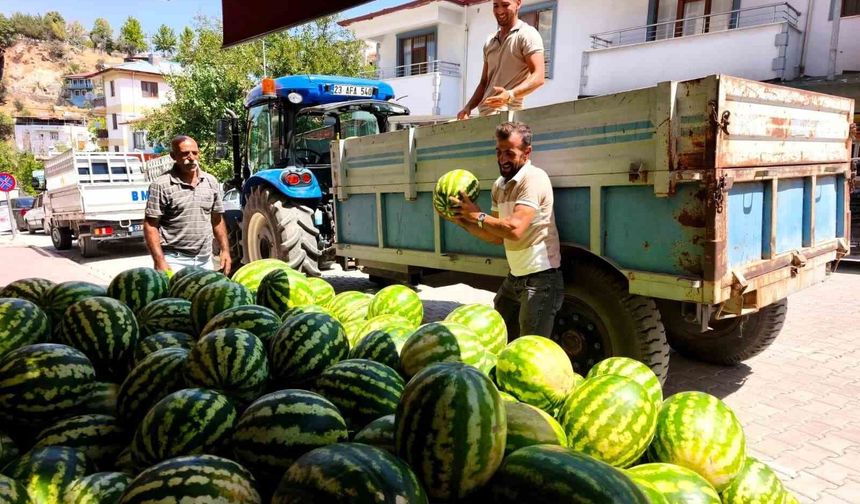 Doğallığıyla damaklarda iz bırakan Hıdıroz Karpuzu tezgahlarda yerini aldı