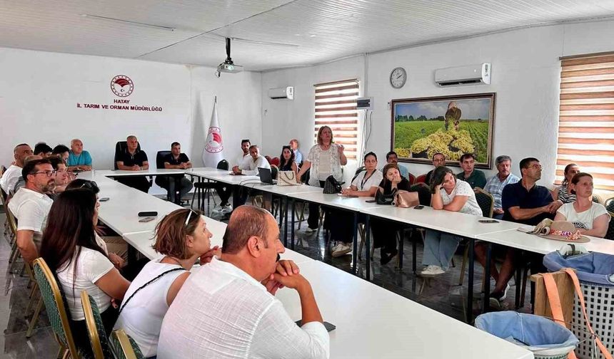 Hatay'da turunçgillerde doğru hasat uygulamaları anlatıldı