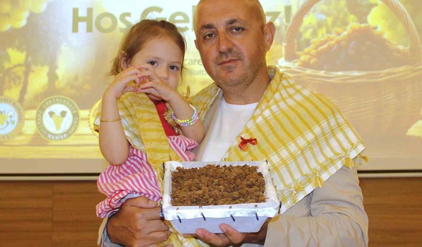 İlk kuru üzüm 4 bin TL'den satıldı, üretici asıl fiyatı bekliyor