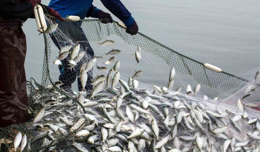 Muğla'nın ihracat rekortmeni olduğu su ürünleri sektörünün ihracatı 2 milyar doları geçti