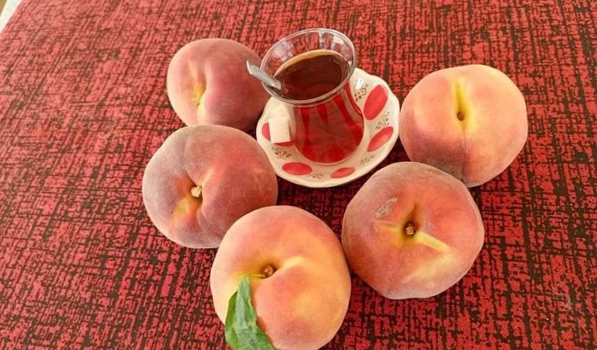 Şeftali fiyatları 1 günde yarıya düştü