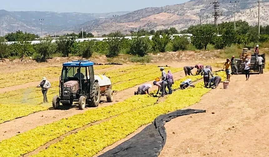 Üzüm üreticilerinin sorunlarını Cumhurbaşkanlığına aktarıldı