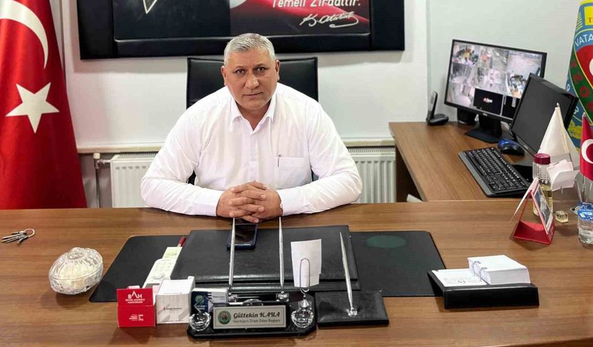 Vezirköprü'de ayçiçeği hasadı başladı