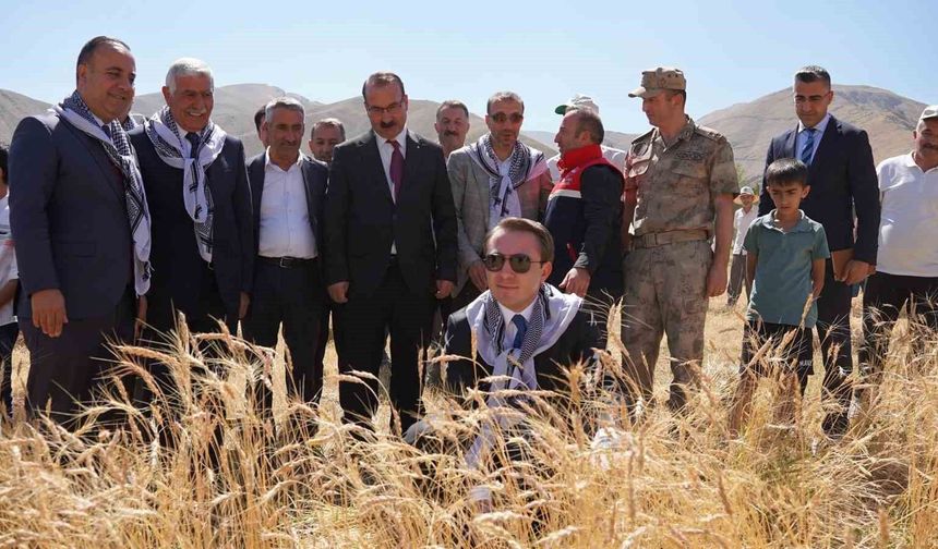Yüksekova Kaymakamı Volkan Hülür Büyükçiftlik'te buğday hasadına katıldı