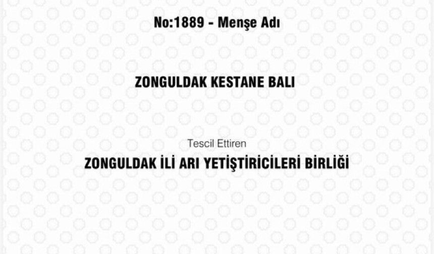 Zonguldak kestane balı coğrafi işaret tescili aldı