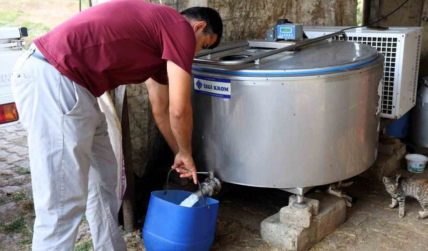 Soğutma tankları süt üreticisinin maliyetini düşürdü