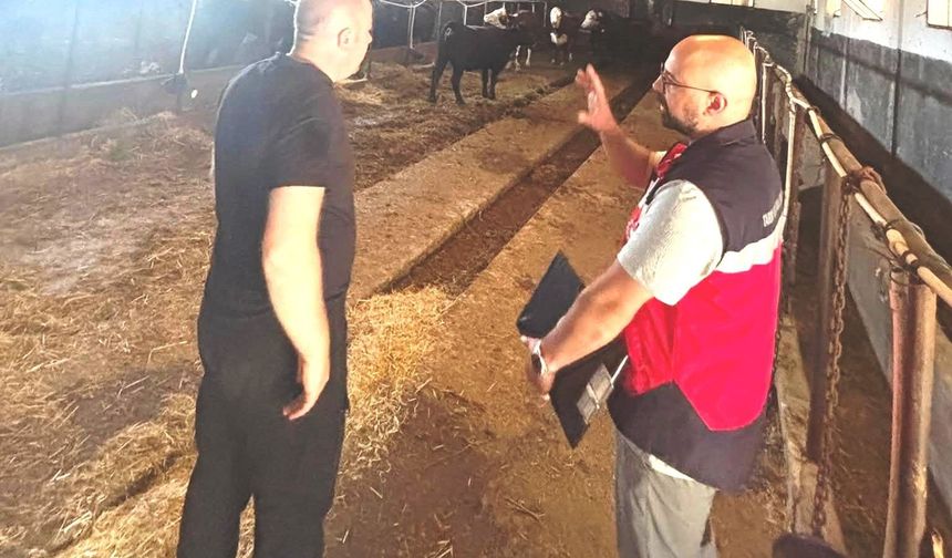 Tavşanlı'da Destek Projesi kapsamındaki ithal hayvanlar kontrolden geçirildi