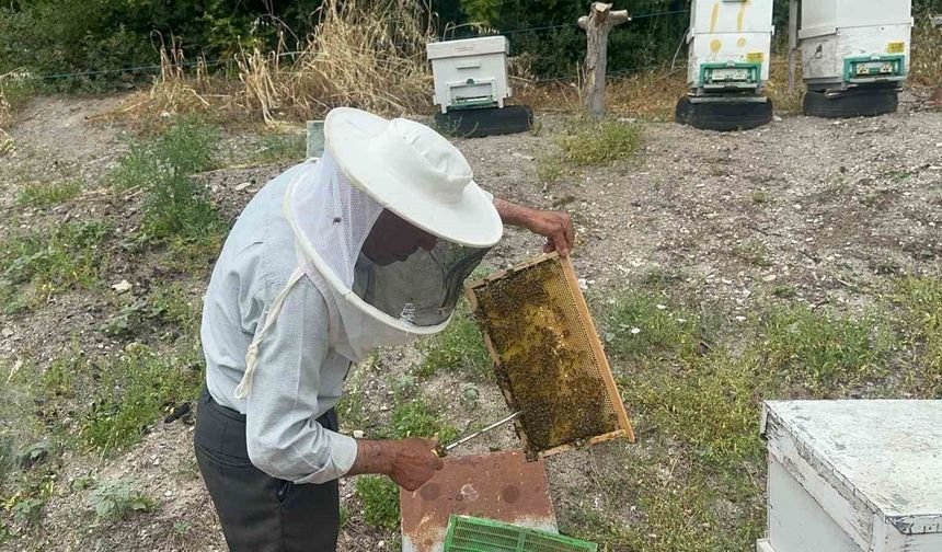 50 yıllık arıcı emekli başgardiyan 20 yıldır Avrupa'ya bal gönderiyor