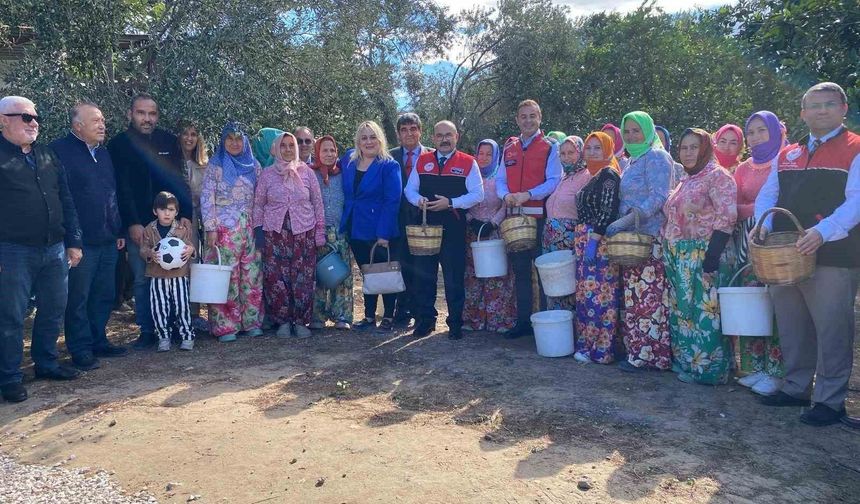Ayvalık'ta ilk zeytin hasadına dua ve hayır yemekli başlangıç
