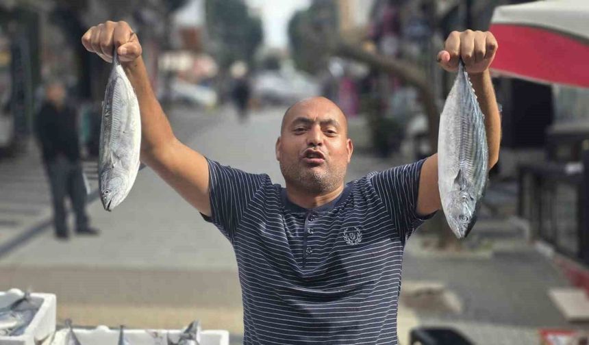 Bandırma'da palamutun fiyatı 75 liraya düştü