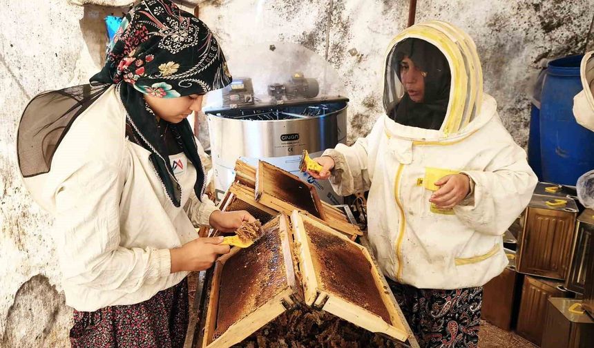 Çam balının başkenti Muğla'da glikozlu bal tepkisi
