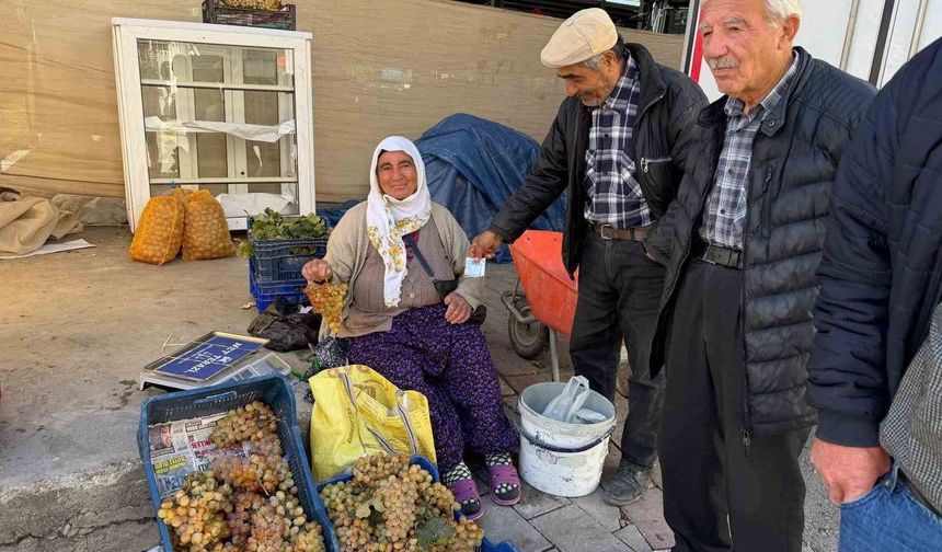 Çivril'in meşhur Koçak üzümü tezgâhlarda