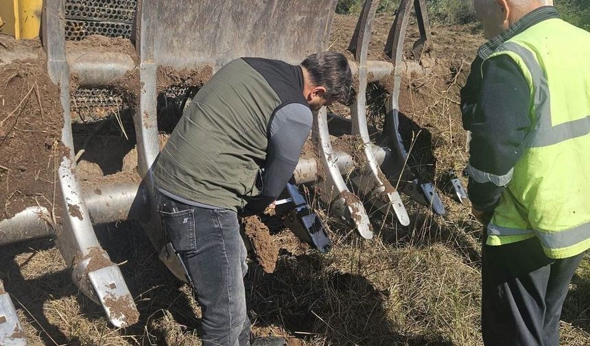 Gönen'e 250 hektarlık endüstriyel plantasyon sahası kuruluyor
