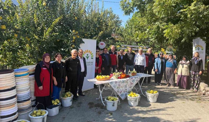 Kahramanmaraş'ta ayva üreticilerine hasat desteği