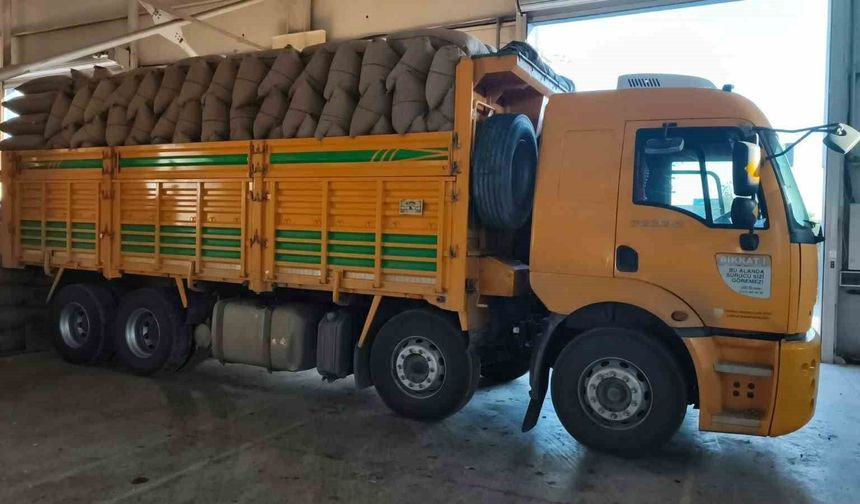 Kastamonu'da fındık üreticisinden 100 tonun üzerinde fındık aldı