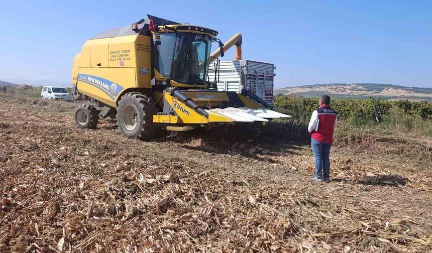 Manisa'da tarımsal üretimde saha denetimleri sürüyor