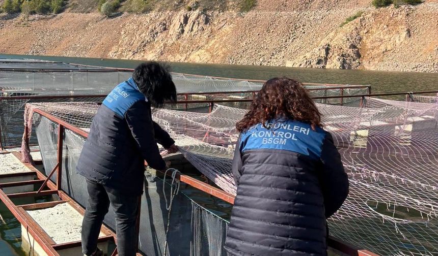 Ordu'da alabalık tesislerine denetim