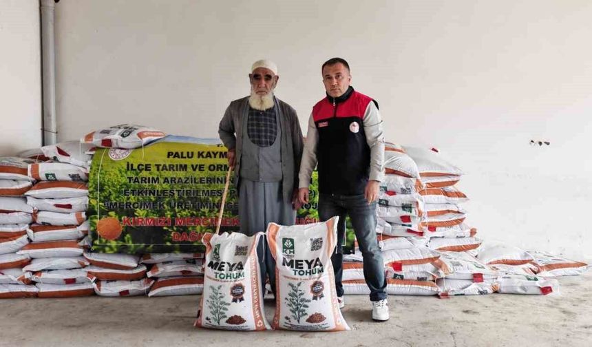 Palu'da üreticilere yüzde 70 hibeli kırmızı mercimek tohumu dağıtıldı