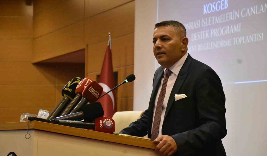Sadıkoğlu: 'KOSGEB kredilerini ödeyemeyen işletmeler için yeni düzenleme yapılmalı'