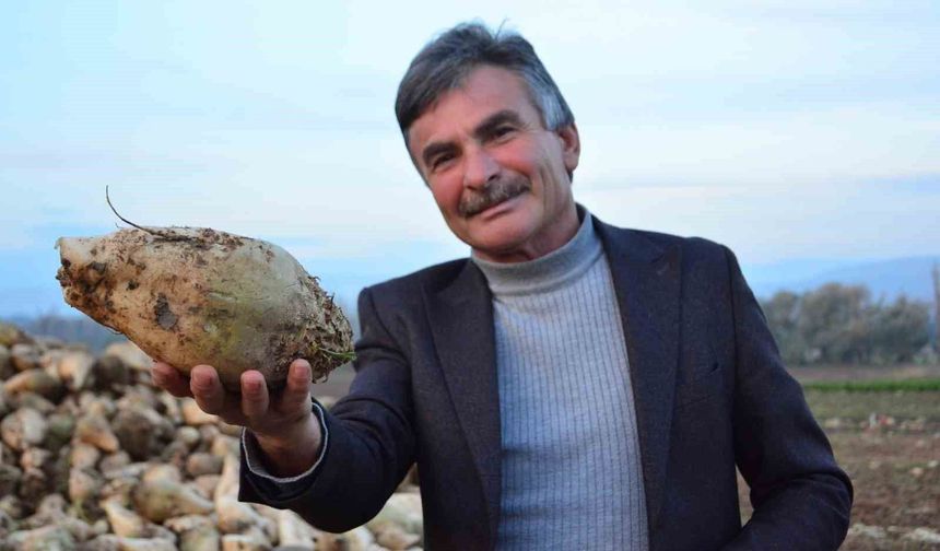Şeker pancarı üreticisinin sözleri sosyal medyada gündem oldu: ''Ben kazanmıyorum' diyen çiftçiler külliyen yalan söylüyor'