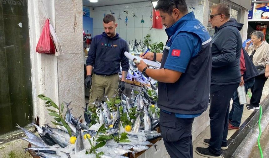 Sinop'ta balık satış yerleri denetlendi