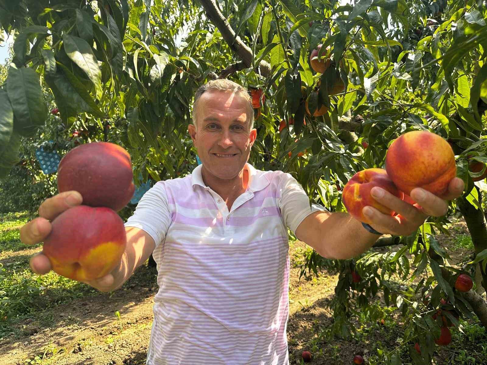 Ağustosta tarlada 10 liraya kadar düşmüştü, dalında 40 lirayı gördü