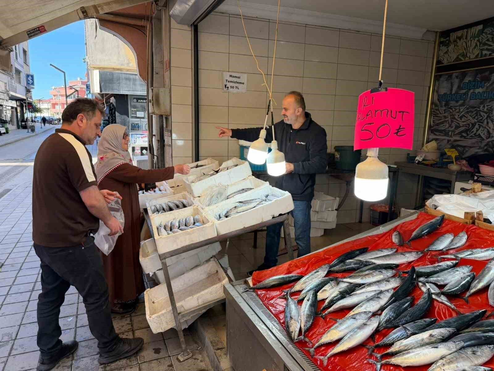 Türkeli'de palamutun adeti 50 liraya düştü